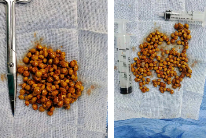 QQ图片20220415112138