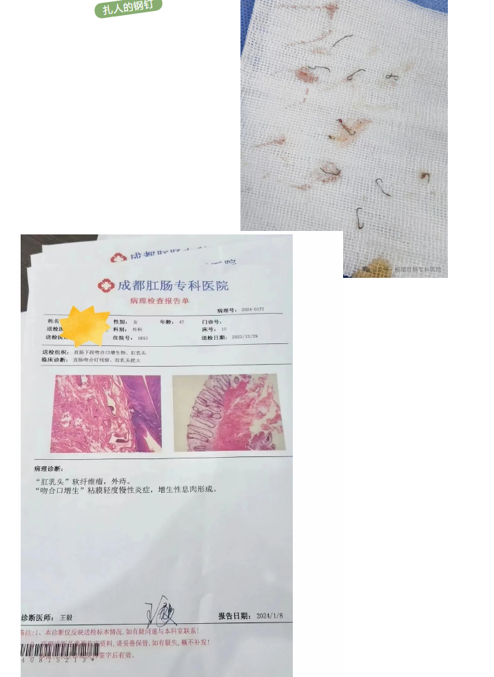 QQ图片20240601091434